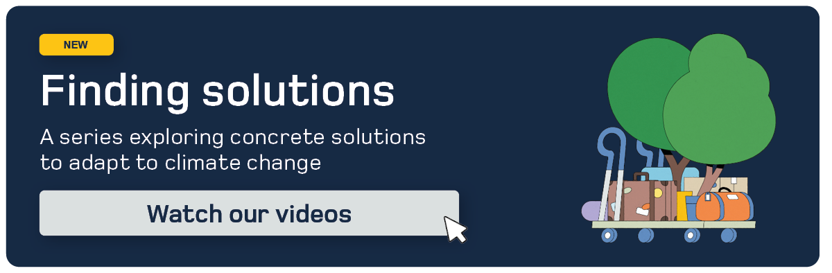 Finding solutions videos