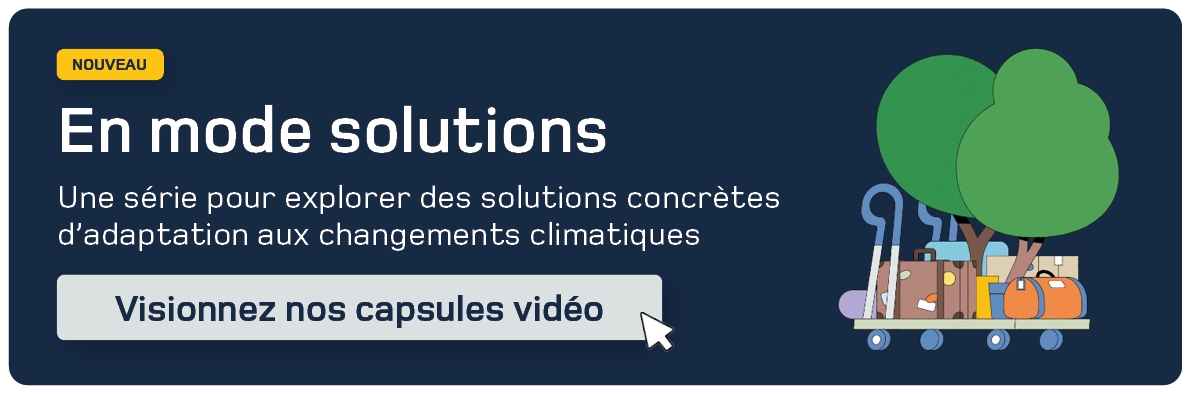 visionnez nos capsules en mode solutions