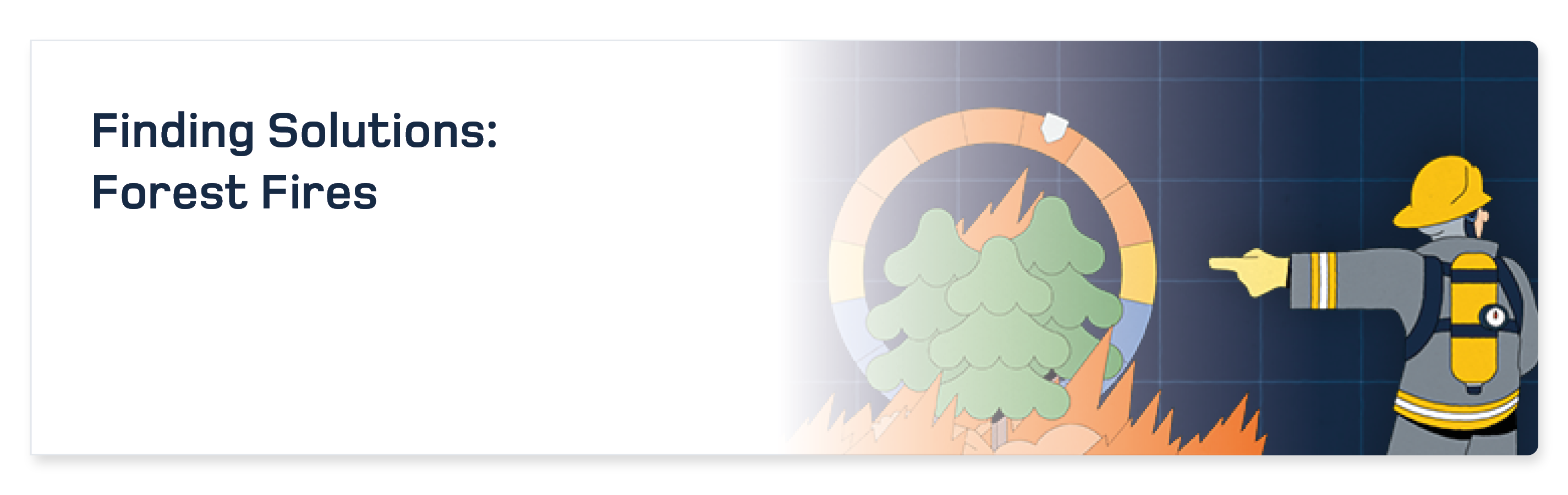 Finding Solutions: Forest Fires