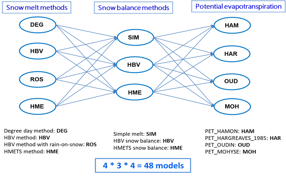 Figure 1 Raven