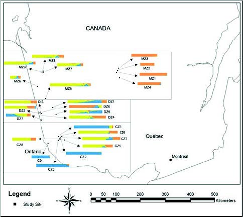 Figure 2 Borealp