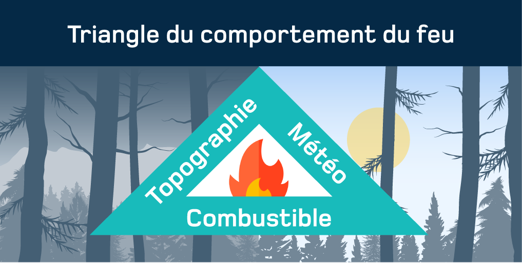 triangle comportement du feu